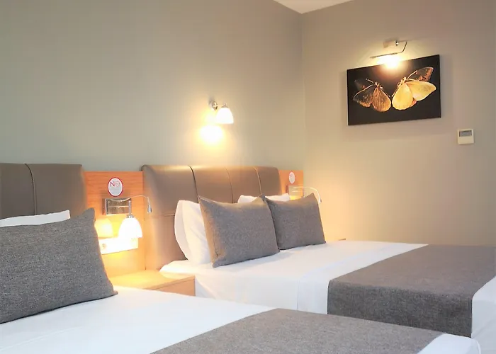 Grand Park Center ホテル